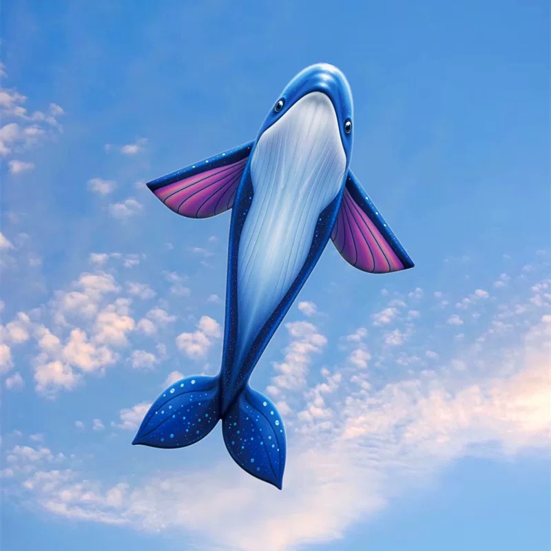 Cerf-volant Andorre pour enfan - Kite Easy Fly Kids avis et prix