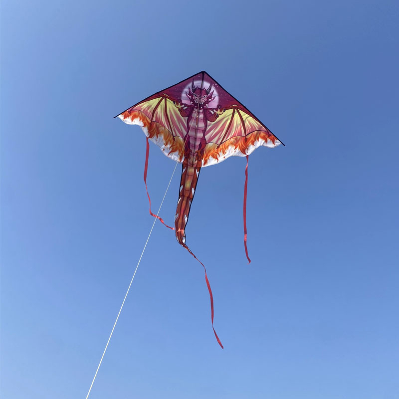 Grand cerf-volant Dragon pour  - Kite Easy Fly Kids avis et prix