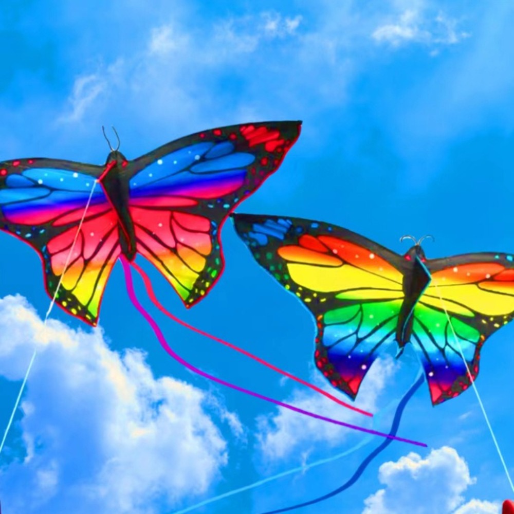 Cerf-volant papillon coloré fa - Kite Easy Fly Kids avis et prix