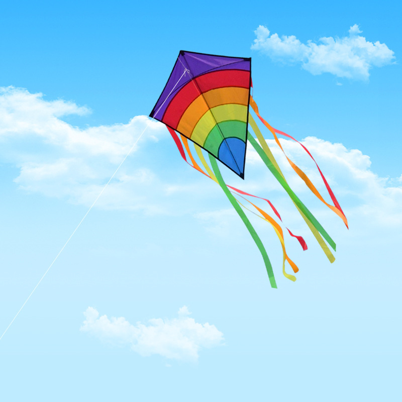 Cerf-volant à ligne unique ave - Kite Easy Fly Kids avis et prix