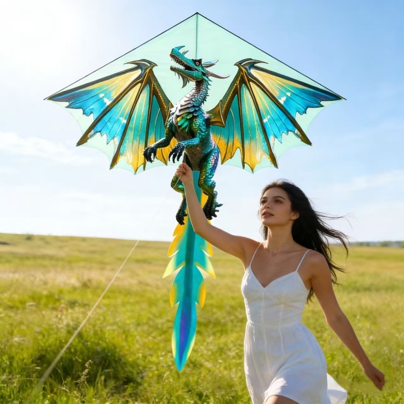 Cerfs-volants dragon, jouets v - Kite Easy Fly Kids avis et prix