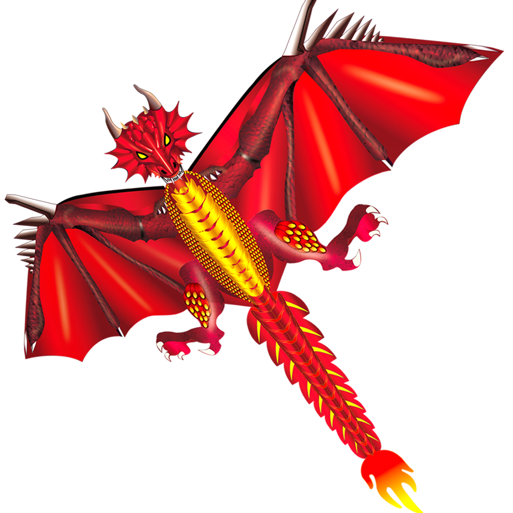 Cerfs-volants Dragon Glace et  - Kite Easy Fly Kids avis et prix