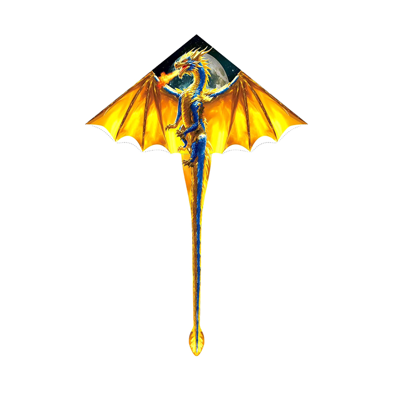 Grand cerf-volant Dragon pour  - Kite Easy Fly Kids avis et prix