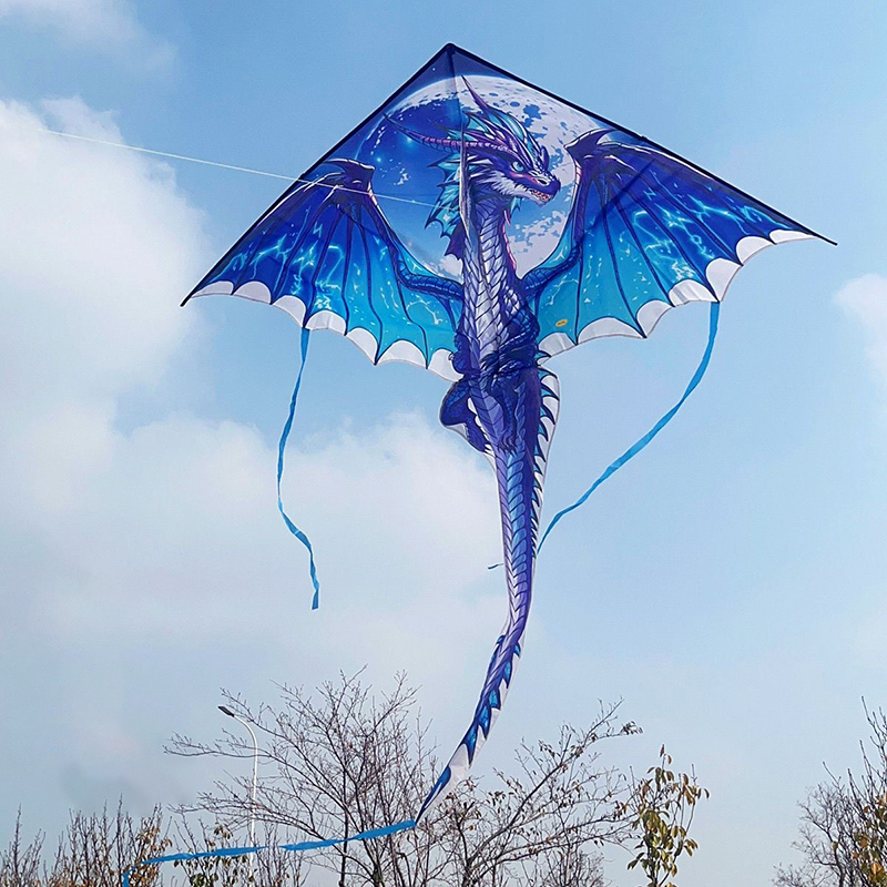 Grand cerf-volant Dragon pour  - Kite Easy Fly Kids avis et prix