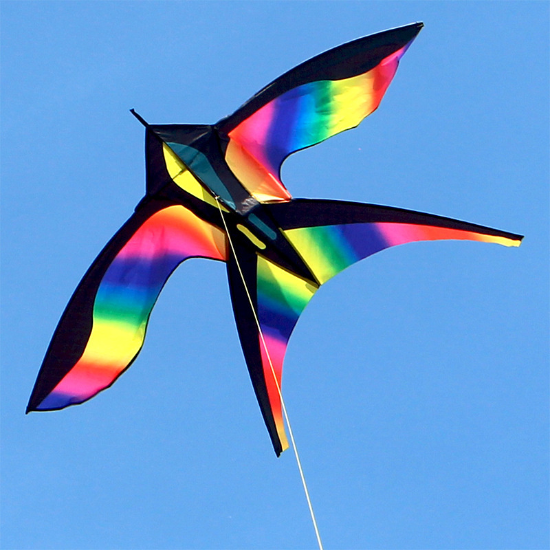 Cerf-volant coloré en forme d' - Kite Easy Fly Kids avis et prix