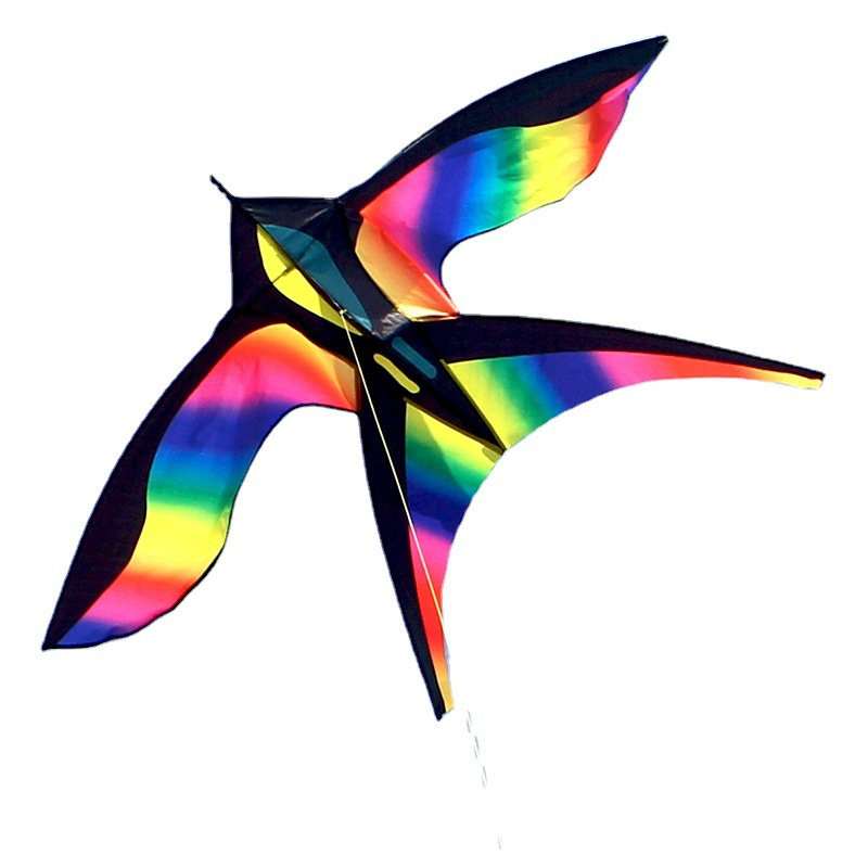 Cerf-volant coloré en forme d' - Kite Easy Fly Kids avis et prix