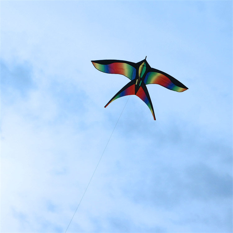 Cerf-volant coloré en forme d' - Kite Easy Fly Kids avis et prix
