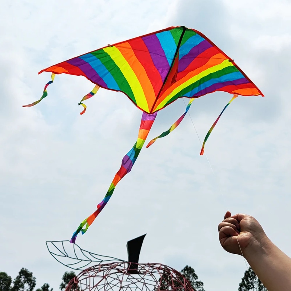 Cerf-volant arc-en-ciel, nouve - Kite Easy Fly Kids avis et prix