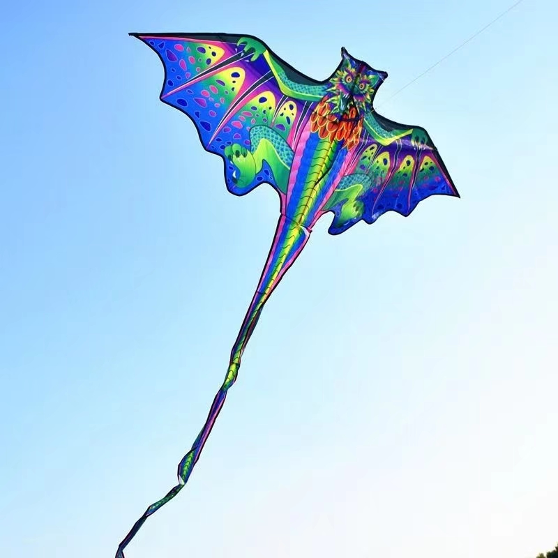 Cerf-volant dragon 3d pour enf - Kite Easy Fly Kids avis et prix