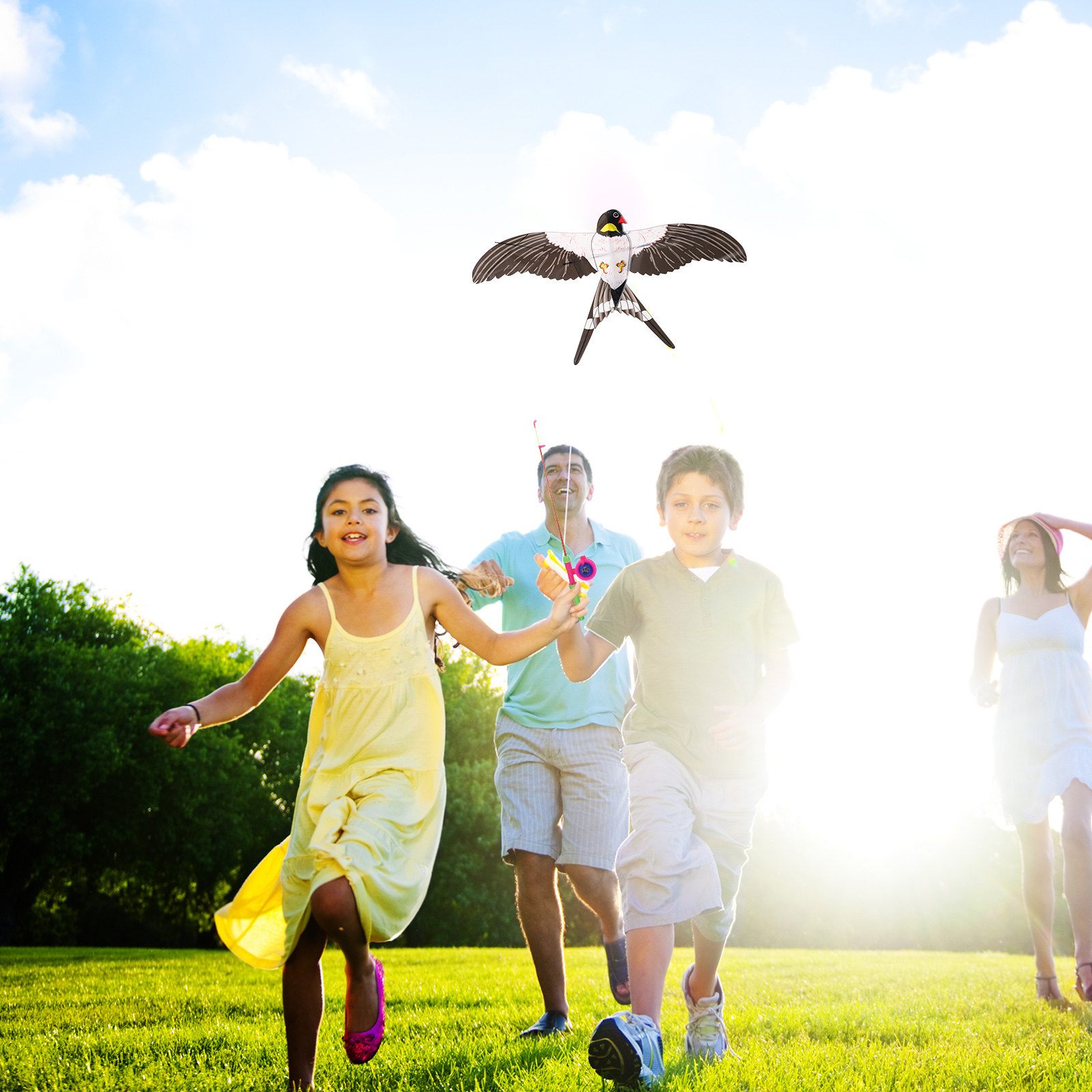 Cerf-volant oiseau facile à pi - Kite Easy Fly Kids avis et prix