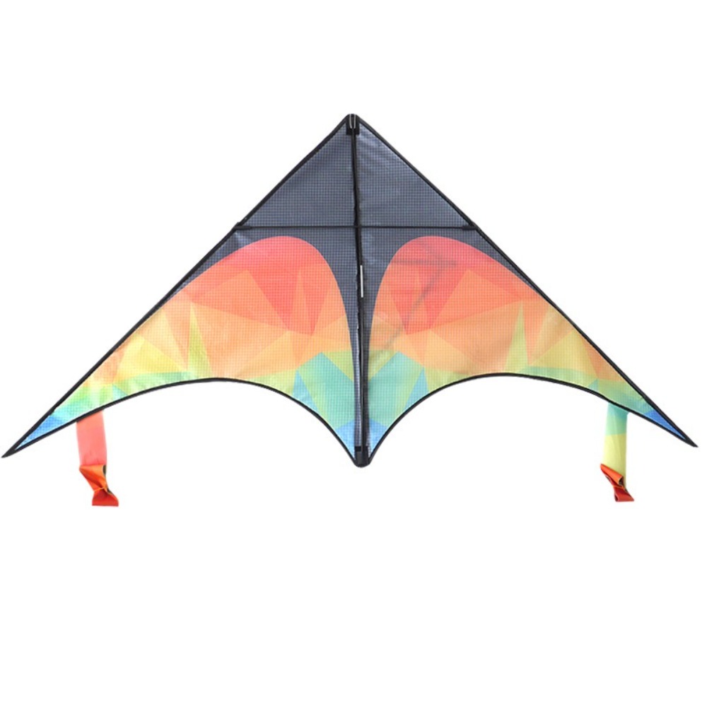 Grand cerf-volant Delta à Doub - Kite Easy Fly Kids avis et prix