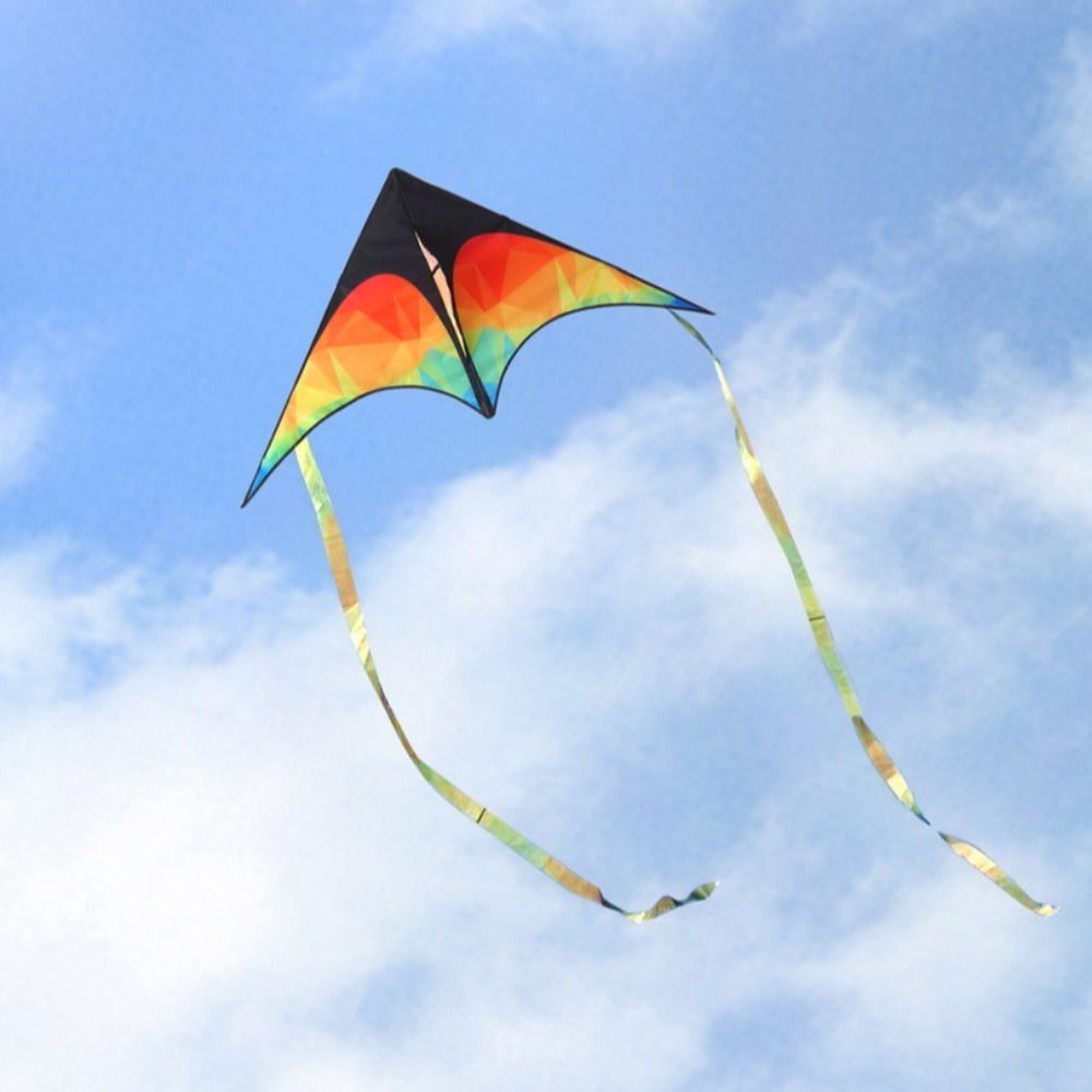 Grand cerf-volant Delta à Doub - Kite Easy Fly Kids avis et prix
